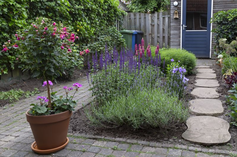 Backyard Renovation