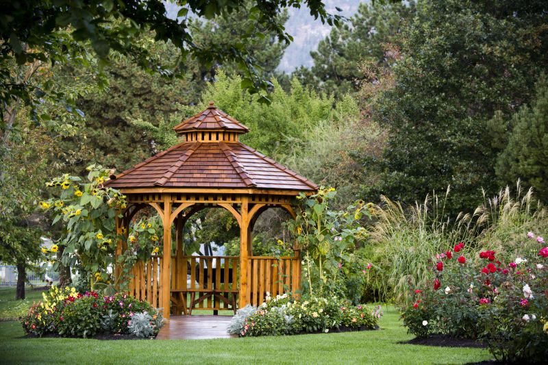 Backyard Renovation