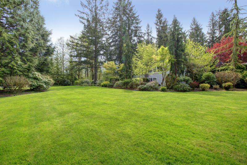 Backyard Renovation Cost Guide — Cost of Backyard Renovation