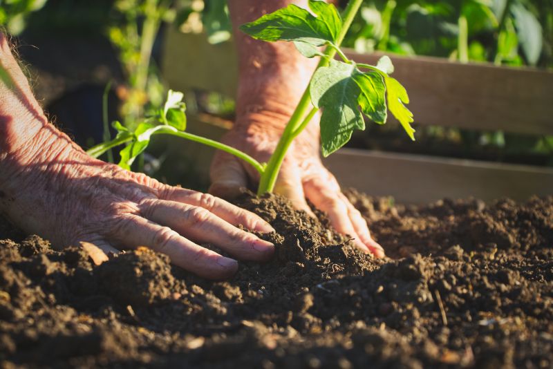 Gardening Service in Honolulu, HI