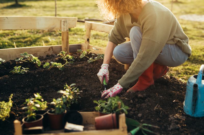 Ground Cover Planting in Honolulu, HI