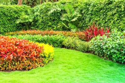 Custom Landscaping